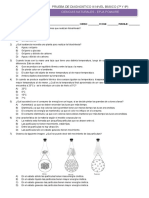 Ciencias Naturales - Epja Pomaire: Prueba de Diagnostico Iii Nivel Básico (7º Y 8º)