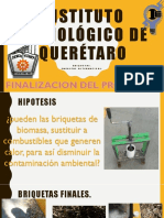 Proyecto de Briquetas