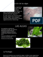 Diapositiva Microbiologia Algas