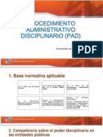 Pad Ii PDF