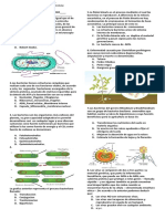 Evaluacion Final Iiiperiodo Noveno