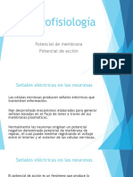 Neurofisiología Potencial de Membrana y de Accion