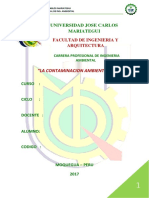 Contaminacion Ambiental