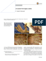 Atypical Presentation of Crusted (Norwegian) Scabies: C. Del Borgo V. Belvisi T. Tieghi Claudio M. Mastroianni