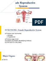 Female Reproductive System