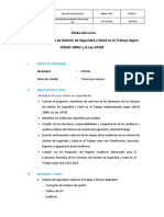 Auditor Del Sistema de Gestión de Seguridad y Salud en El Trabajo PDF