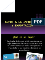 Cupos A La Importacion y Exportacion