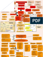 Metabolismo de Aminoacidos y Enfer