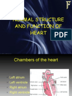 ECG Monitoring