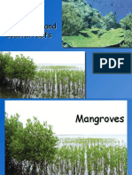 Mangroves and Coral Reefs