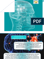 Neurotransmisores Implicados