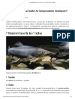 7 Características de Las Truchas, Su Distribución Y Hábitat PDF