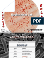 Escherichia Coli I