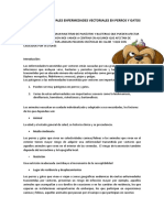 Principales Enfermedades Vectoriales en Perros y Gatos