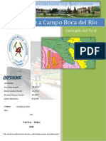 Informe Boca Del Rio