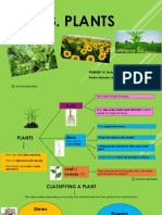 Unit 3 Plants