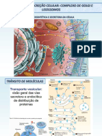 Aula 7 - GOLGI e Transporte Vesicular