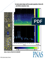 Compressor Noise