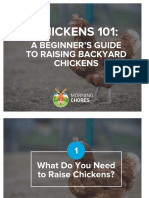 Chickens 101:: A Beginner'S Guide To Raising Backyard Chickens