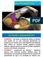 Nutricao e Bioenergetica