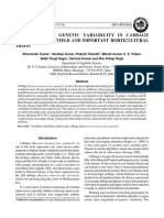 Assessment of Genetic Variability in Cabbage Germplasm For Yield and Important Horticultural Traits