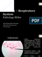 Block 13 Patho Slides