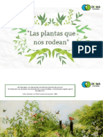 Dossier Las Plantas Que Nos Rodean