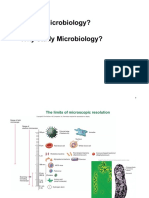 What's Microbiology? Why Study Microbiology?