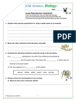 Asexual Reproduction Worksheet BoardWorks