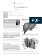 Apuntes de Ecografía - Hígado (I)