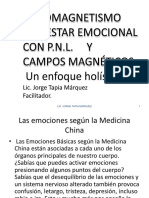 Psicomagnetismo Bienestar Emocional