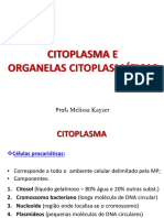 Aula 1.1 - Citoplasma e Organelas Citoplasmáticas