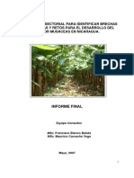 Analisis Musaceas PDF