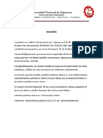 Informe Puyllucana (2°)