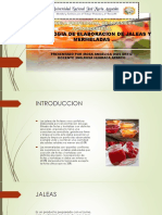 Tecnologia de Elaboracion de Jaleas y Mermeladas (Rosa)