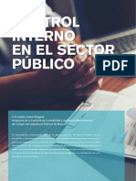 Control - Interno.coso Sector Publico