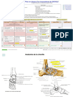 Trauma Cheville PDF