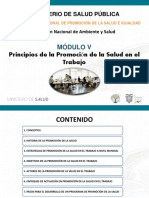 Principios de La Promoción de La Salud en El Trabajo