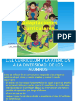 Adaptacion Curricular