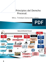 Derecho Procesal Fuentes y Principios