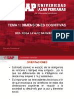 Sem 1. Dimensiones Cognitivas de La Inteligencia y La Creatividad