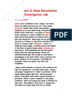 Affect of Detergent On Seed Germination Lab