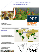 Clase 1. Las Raices y Tuberculos Andinos Oportunidades y Desafios - Expositor Ivan Manrique - CIP