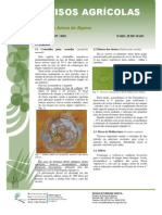 Circular Nº07 - 2010 Ceratitis