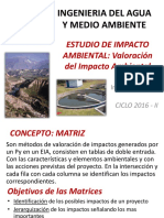 Valoración de Impacto Ambiental.