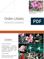 Liliales