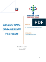 Trabajo Final Organizacon y Sistemas 22102017 de Carolina Baron