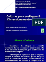 Culturas para Silagem e Dimencionamento Do Silo (Slides)