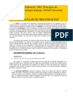 Tortora Celula PDF