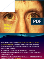 What? Who?: DR - Mabel Sihombing Sppd-Kgeh DR - Ilhamd SPPD Dpertemen Ilmu Penyakit Dalam Rs - Ham/Fk-Usu Medan